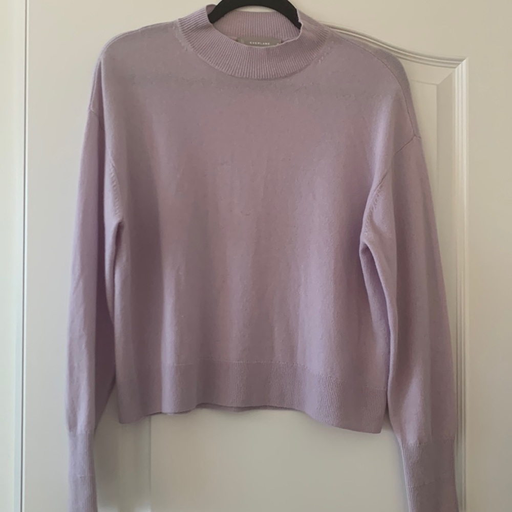 Everlane Cropped Mockneck Cashmere Sweater